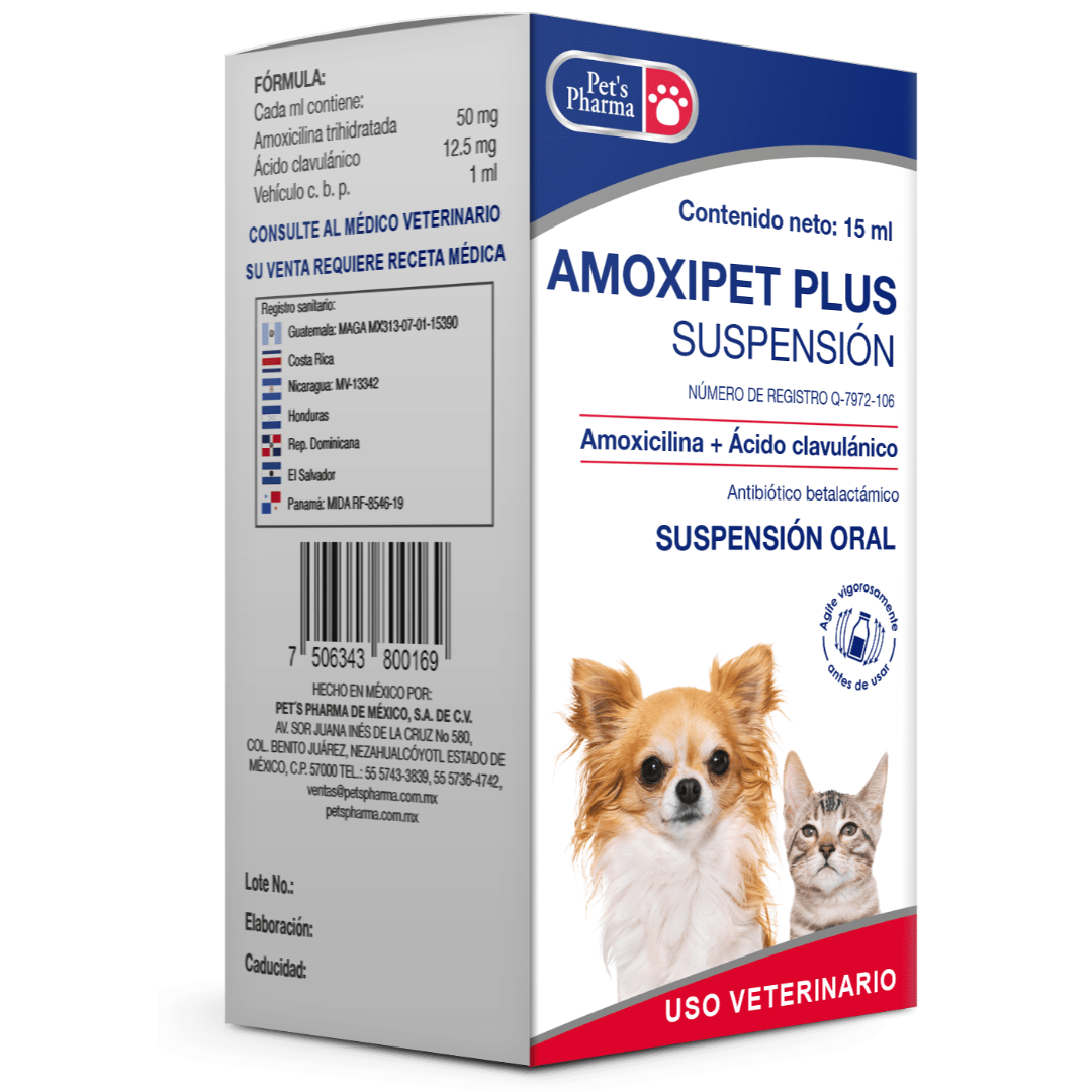 Productos Amoxipet Plus Solución - Pet's Pharma Productos Amoxipet Plus Solución - Pet's Pharma